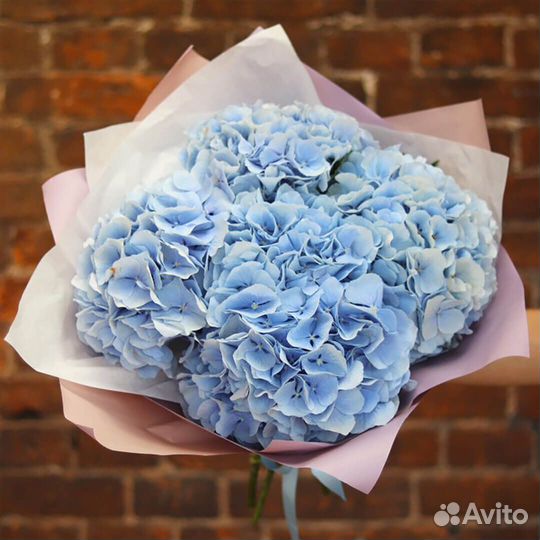 Букет гортензии