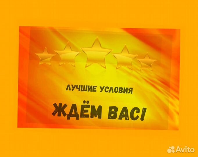 Комплектовщик Спецодежда Еженедельный аванс М/Ж