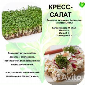 Ванька кучерявый