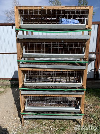 Клетки для перепелов бу