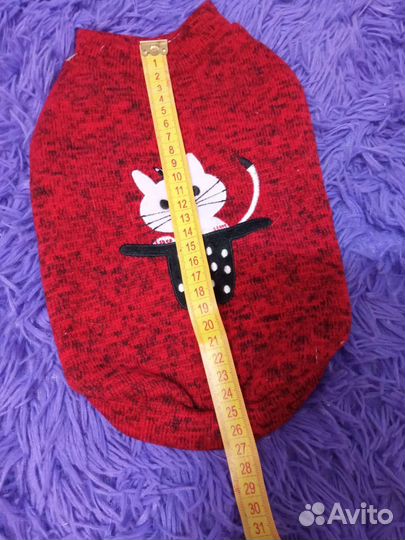 Одежда для котят