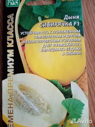 Рассада Огурцы, Дыня, Арбуз, Кабачки
