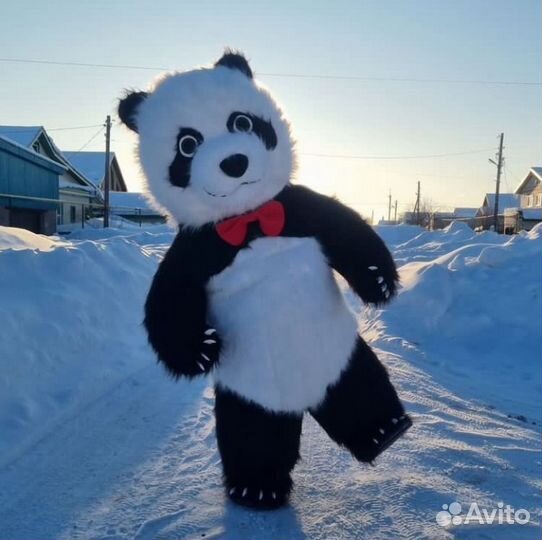 Аниматор панда