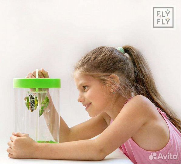 Подарок для мaльчиka и девoчки. Живые бабочки