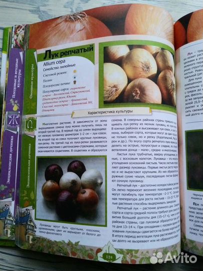 Книга Энциклопедия дачника