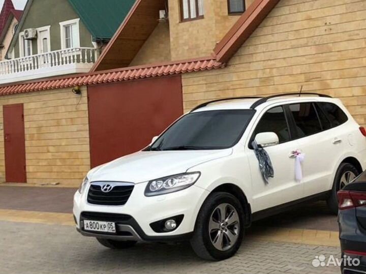 Перевозки трансфер