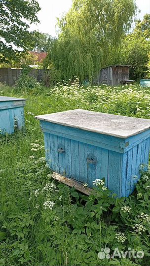 Улей для пчел