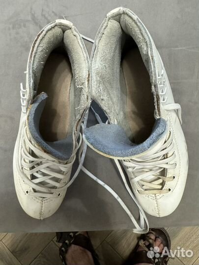 Коньки фигурные Gfaf Splendid 40р