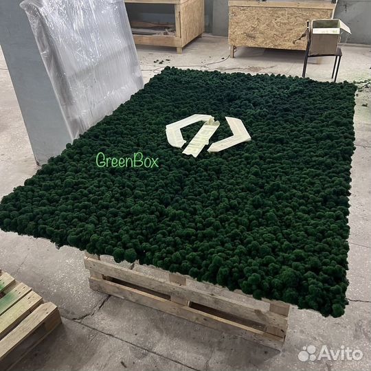 Панно из мха 200*140см