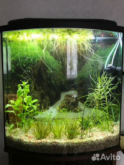 Грунт для аквариума