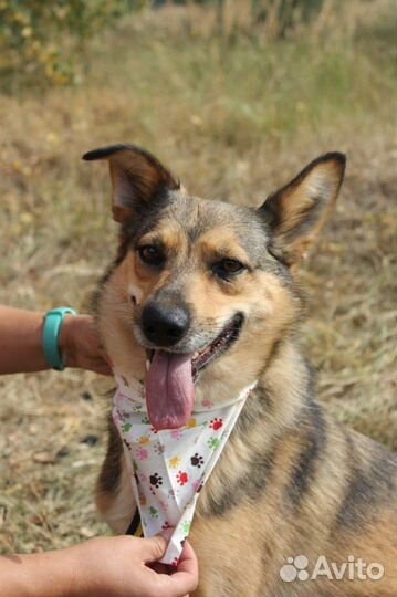 В жизни мне досталось