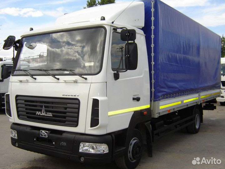 Пятитонник