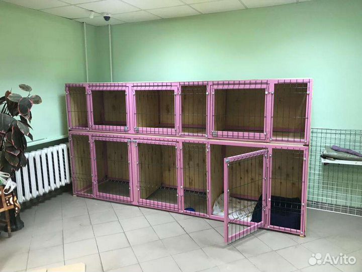 Передержка домашних животных