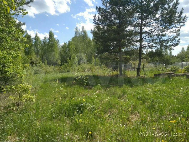 Участок 6 сот. (СНТ, ДНП)
