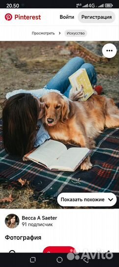 Ответы на тесты для получения социального контрак