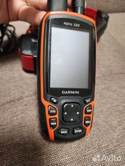 Навигатор Garmin Astro 320 и ошейник DC50