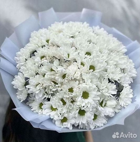 Доставка букетов и цветов. Хризантема