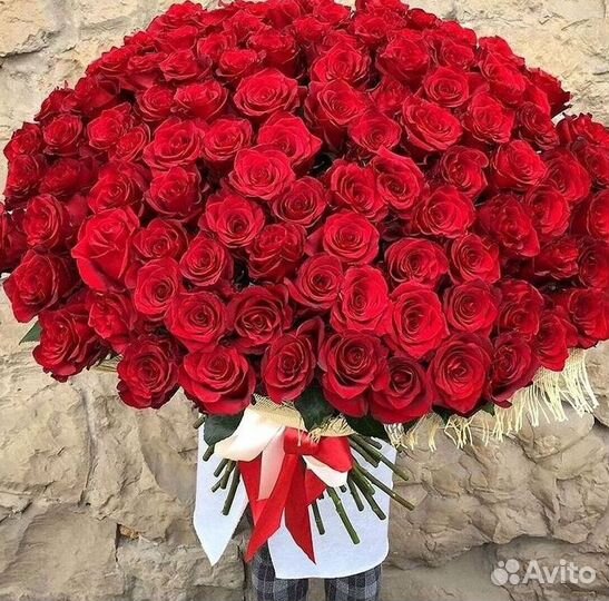 Высокие розы Гигантские розы 110