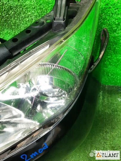 Nose cut toyota wish