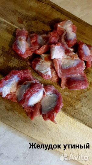 Мясо для собак