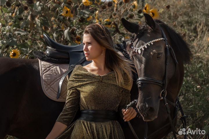 Прокат лошадей