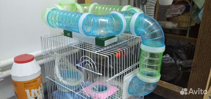 Корм,колесо,домик,лабиринт,мойка,кормушка