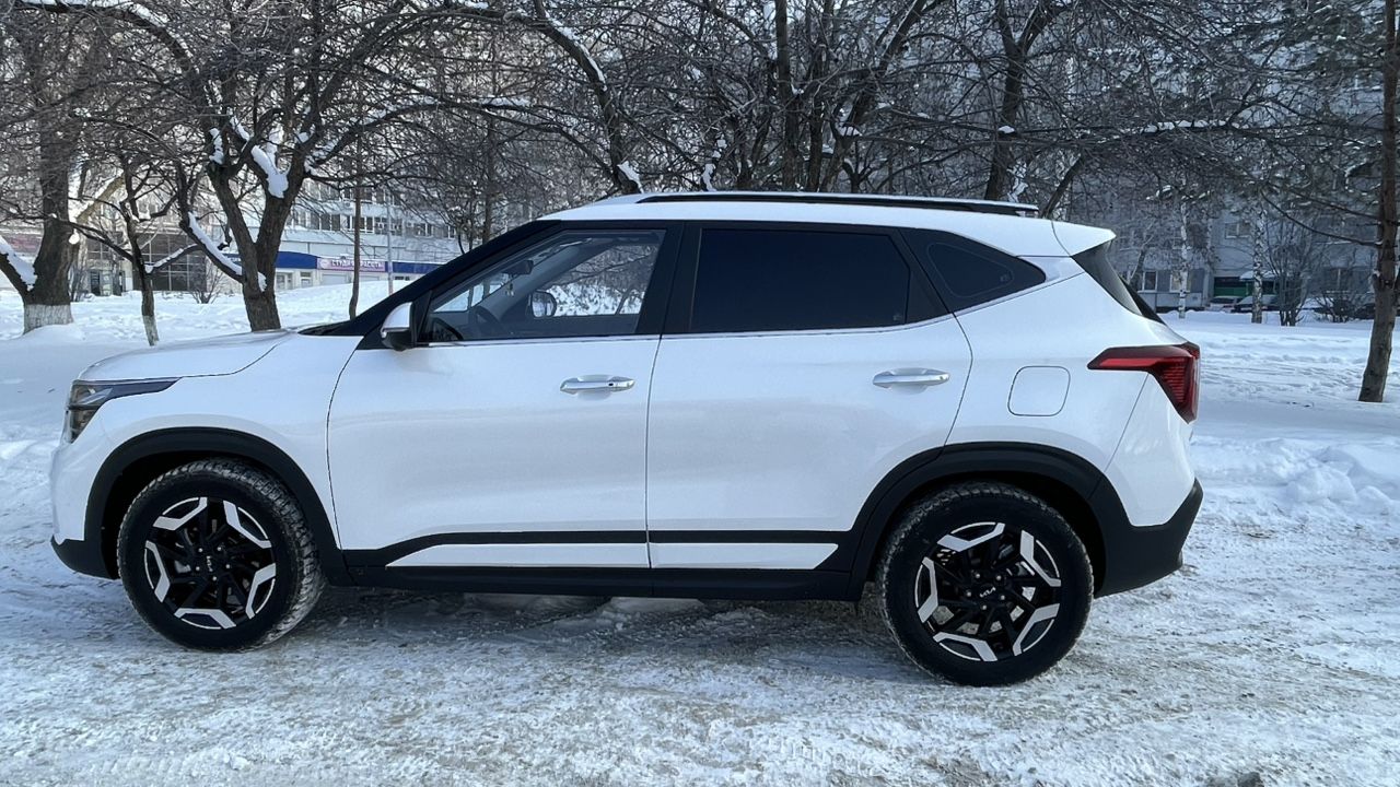 Kia Seltos: фото из отзыва