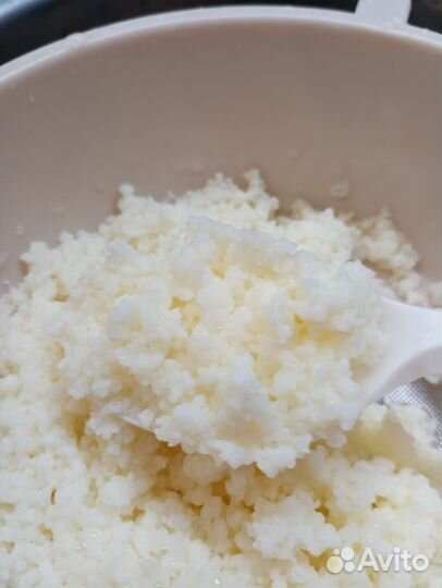 Тибетский молочный гриб/кефирный гриб (зооглея)