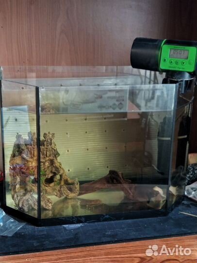 Аквариум