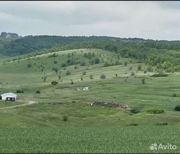 Продам миниферму