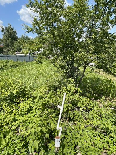 Участок 4,6 сот. (СНТ, ДНП)