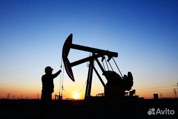 Моторист ца