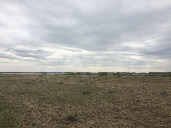 Участок 45 сот. (ИЖС)