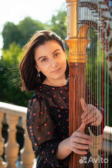 Скрипка и Арфа на праздник