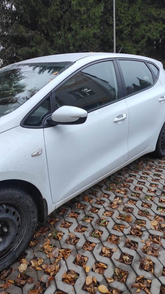 Kia Ceed: фото владельца