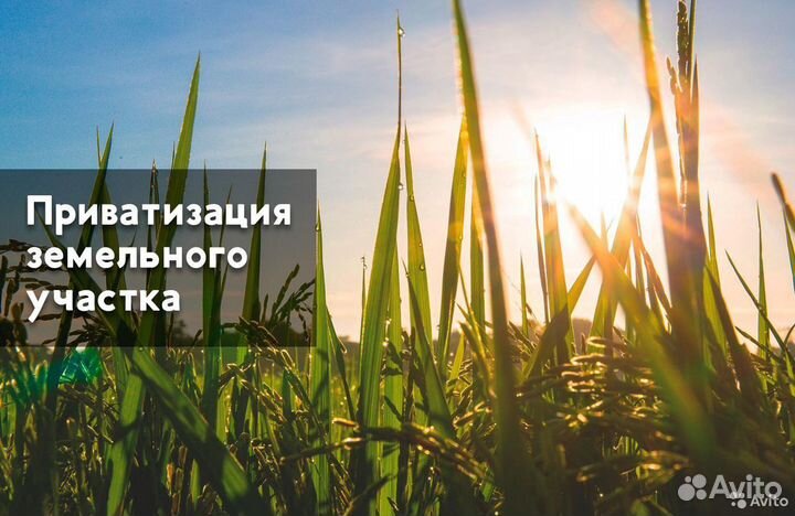 Приватизация земельного/садового участка
