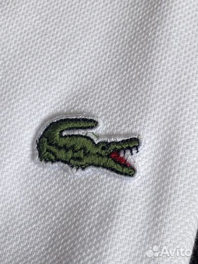 Мужские поло Lacoste