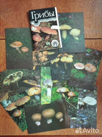 Книги по кулинарии и открытки