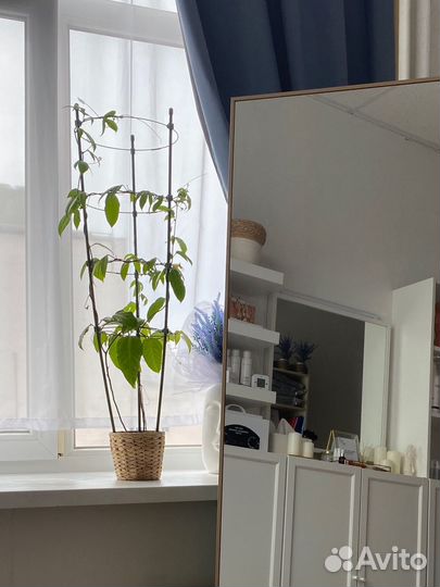 Опоры для растений