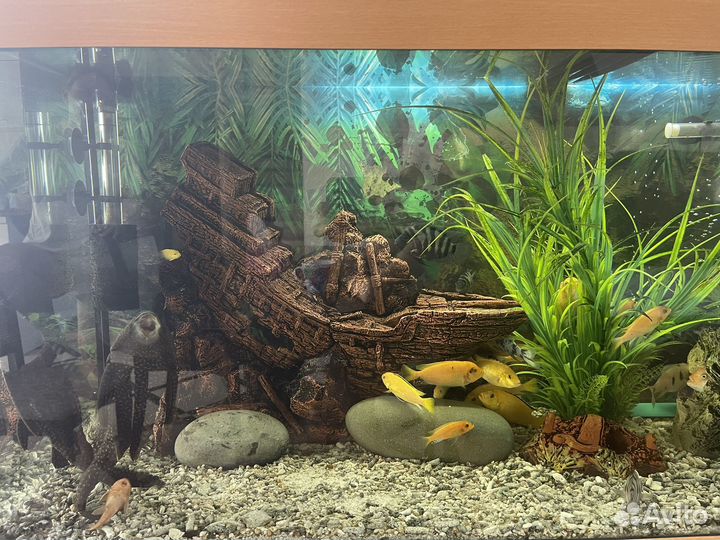 Аквариум