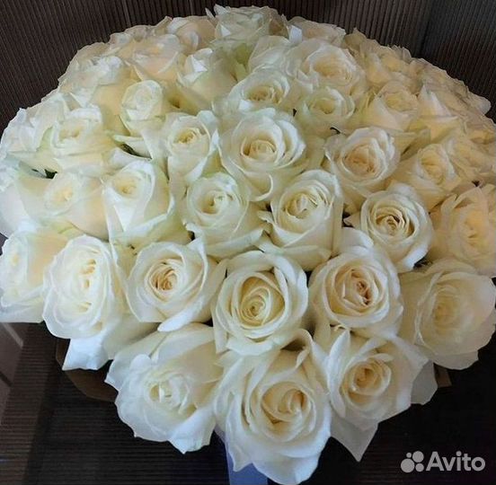 Букет роз 101 роза 51 роза