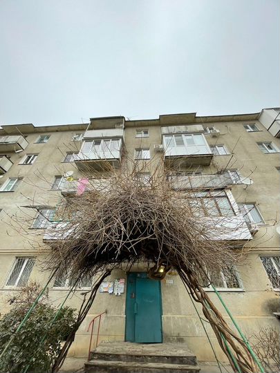 3-к. квартира, 67 м², 1/5 эт.