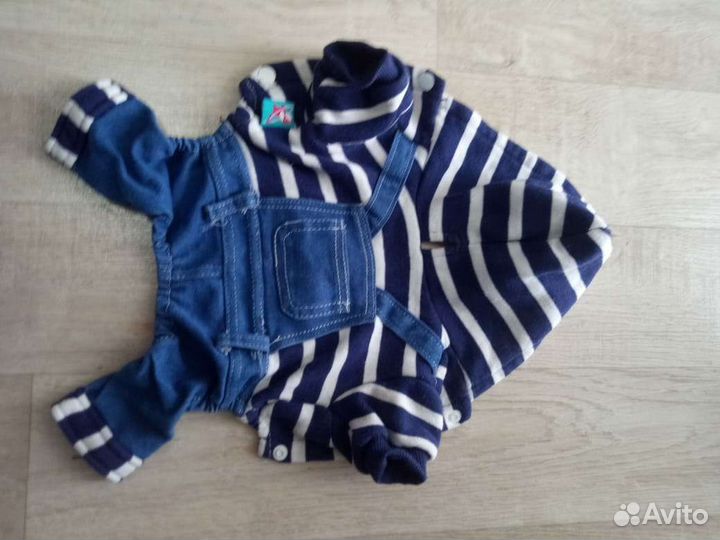 Костюм для собаки