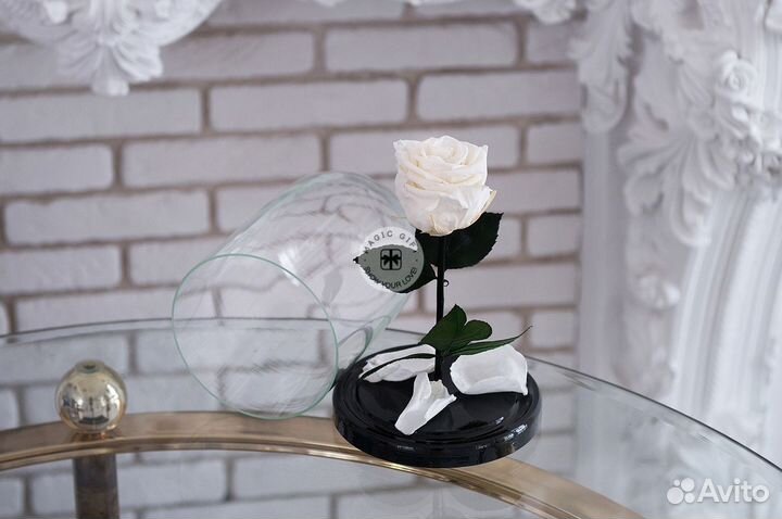 Роза в колбе. Вечная