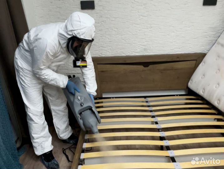 Уничтожение клопов, тараканов, муравьёв