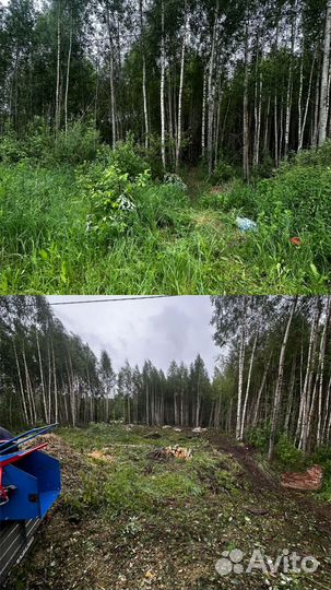 Расчистка участка от деревьев и кустарников