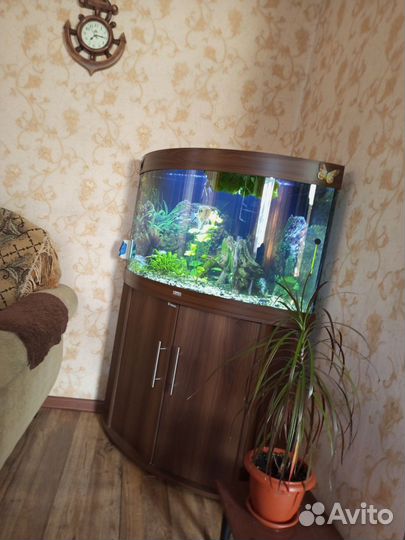 Аквариум с тумбой 250 литров