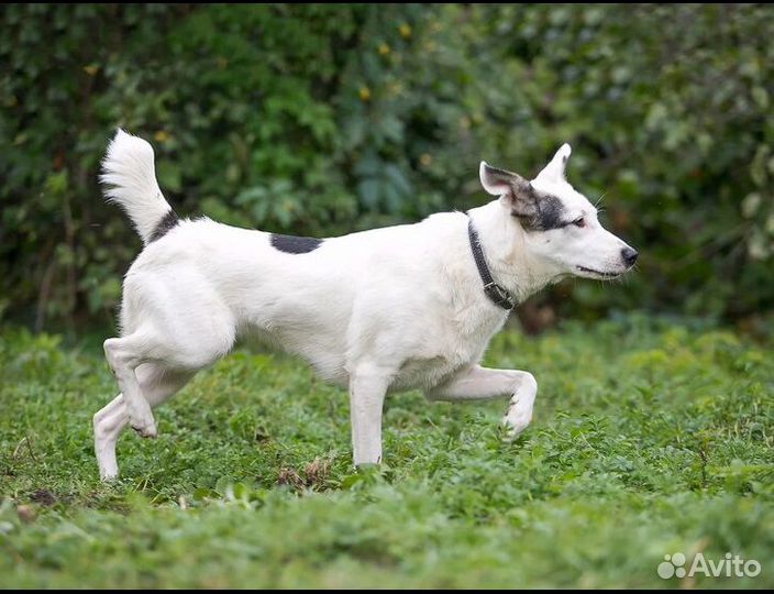 Беленькая Нора