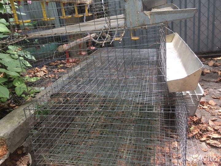 Клетки для перепелов бу