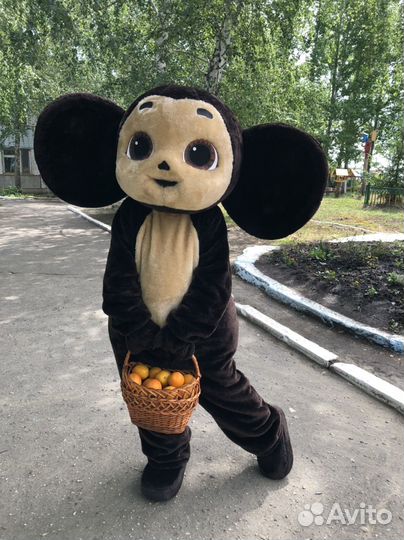 Аниматор Чебушка